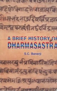 Image of A Brief History of Dharmasastra